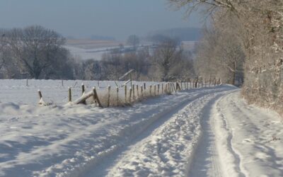 Een licht en vredig 2026